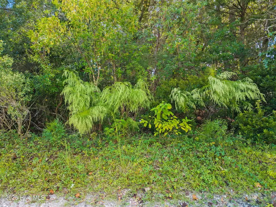 2895 Jeremy Street Sw, Supply, NC 28462 - Image #2