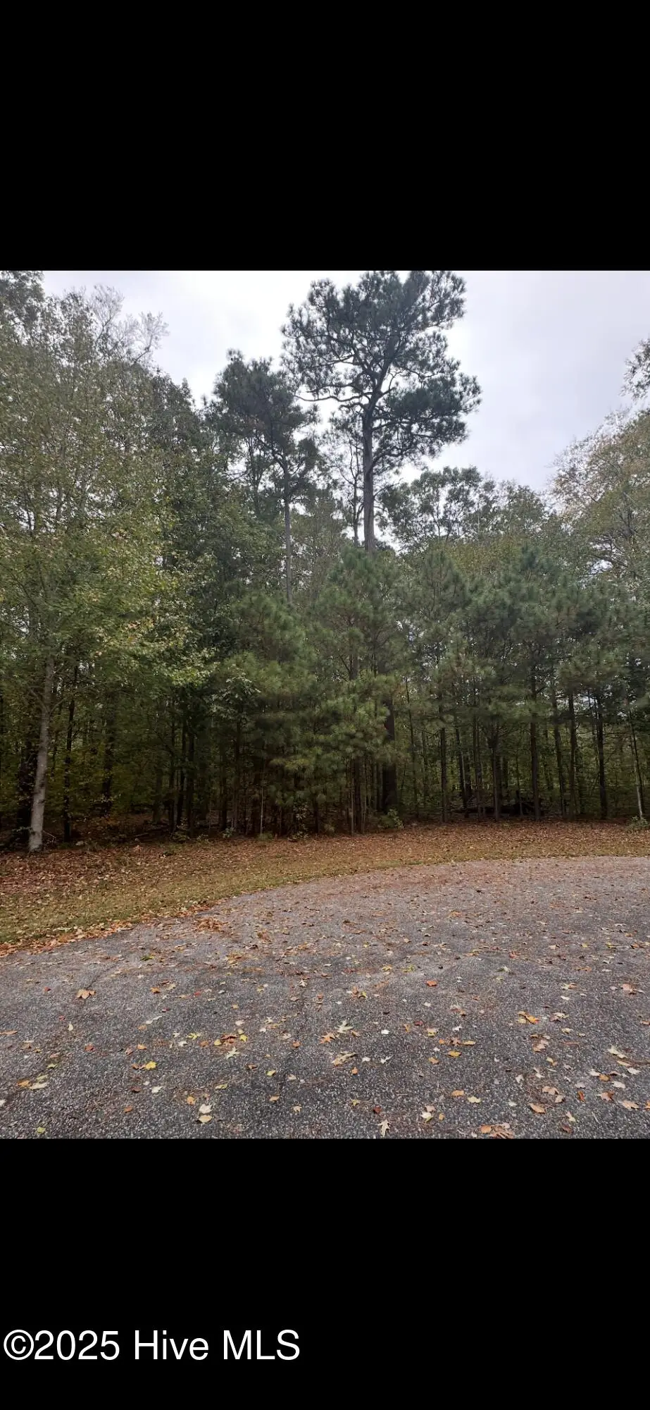 14 Broad River Drive, Hertford, NC 27944 - Image #1