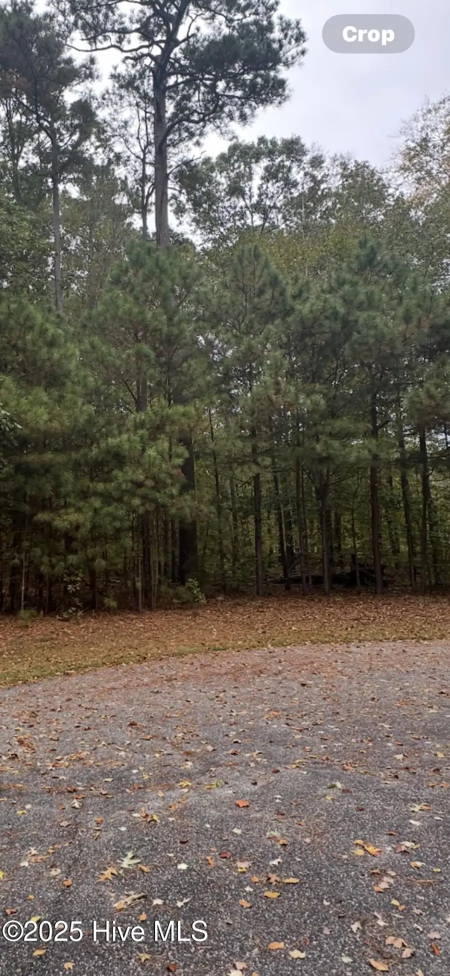 14 Broad River Drive, Hertford, NC 27944 - Image #3