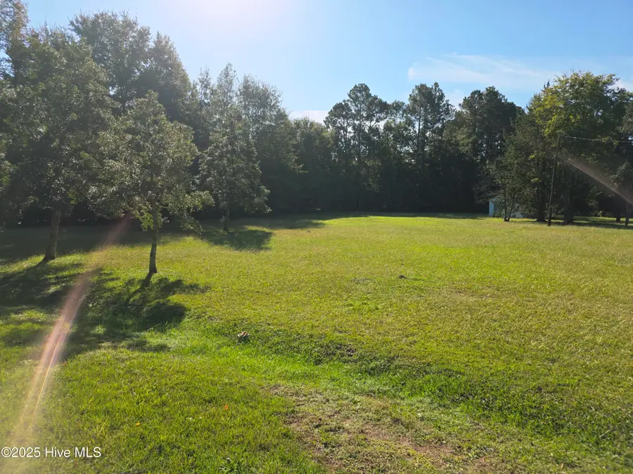 205 Bruce Street, Fair Bluff, NC 28439 - Image #2