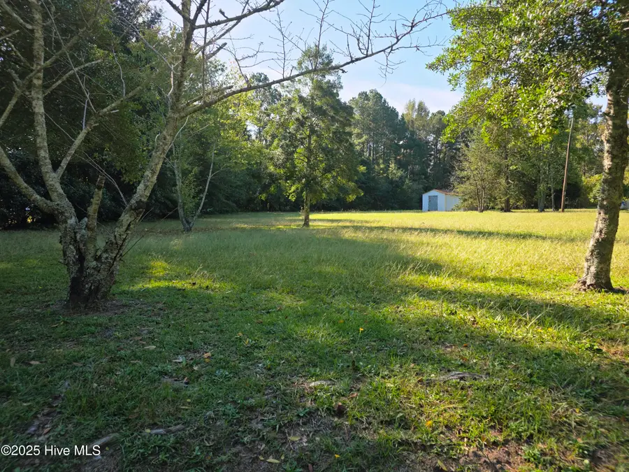 205 Bruce Street, Fair Bluff, NC 28439 - Image #3