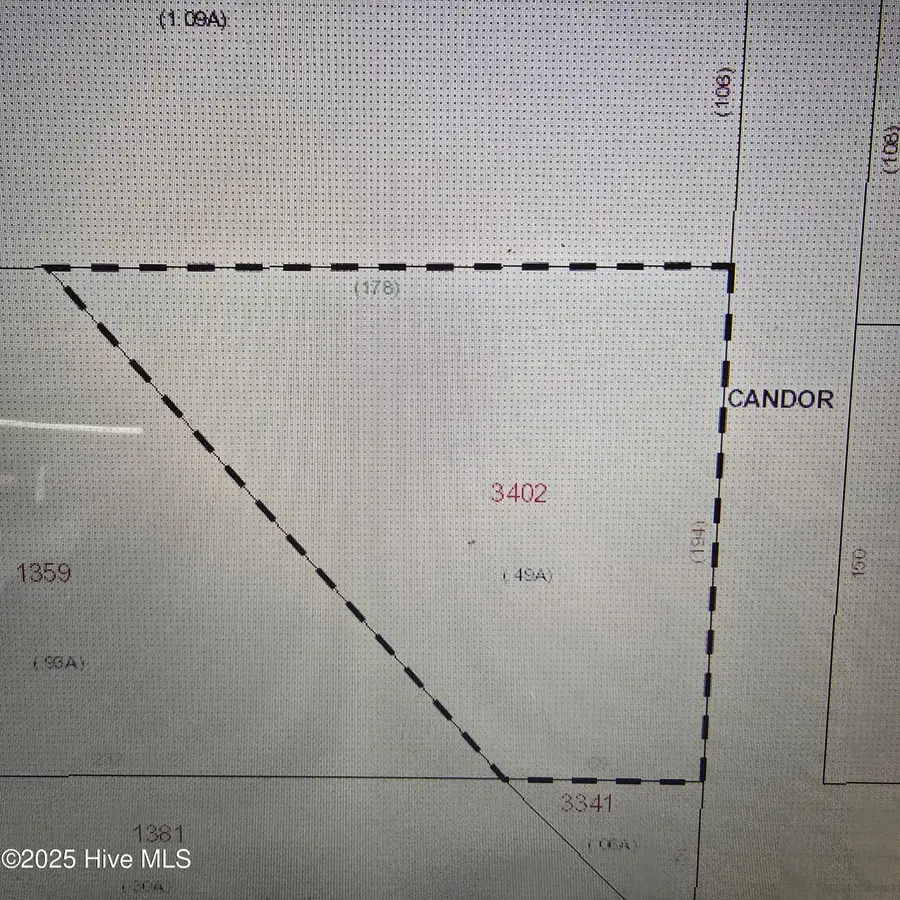 0 N Thayer Street, Candor, NC 27229 - Image #2