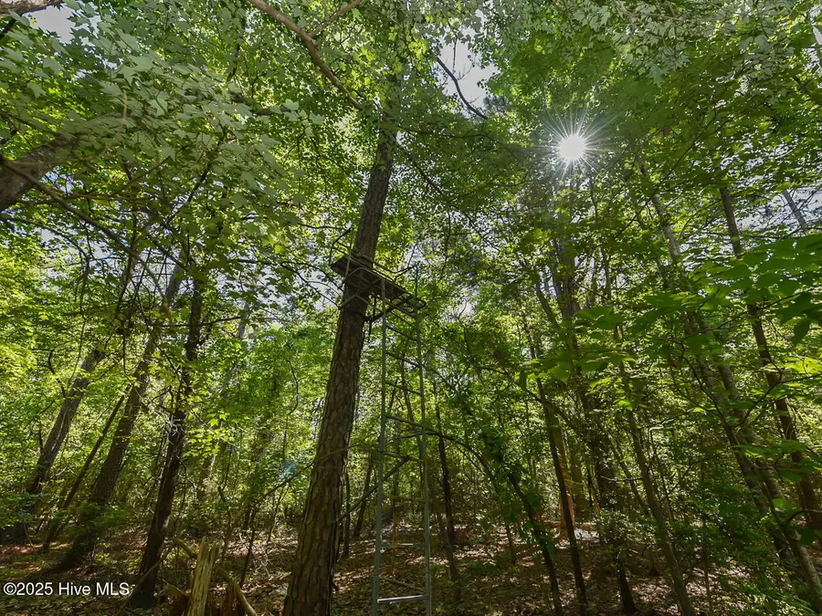 224 Foxfire Road, Aberdeen, NC 28315 - Image #3