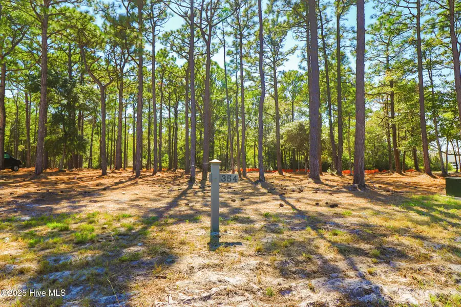 406 Summer Duck Drive, Beaufort, NC 28516 - Image #3