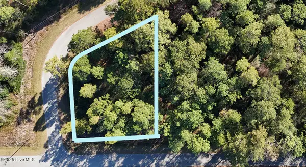 Lot 204 Masters Drive, Boiling Spring Lakes, NC 28461