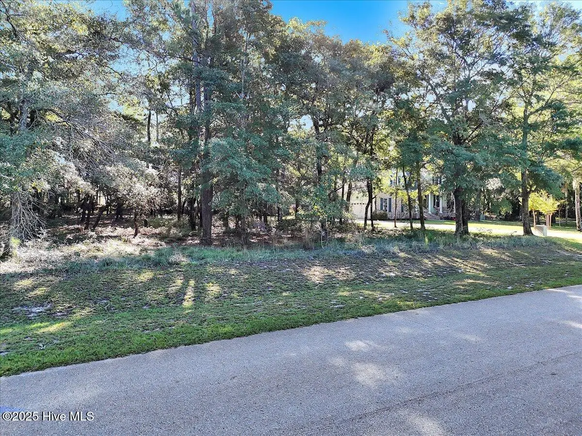 3349 Stone Crab Court Sw, Supply, NC 28462 - Image #1