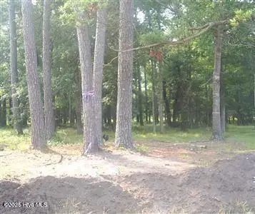 6071 Martinique Street Sw, Shallotte, NC 28470 - Image #1