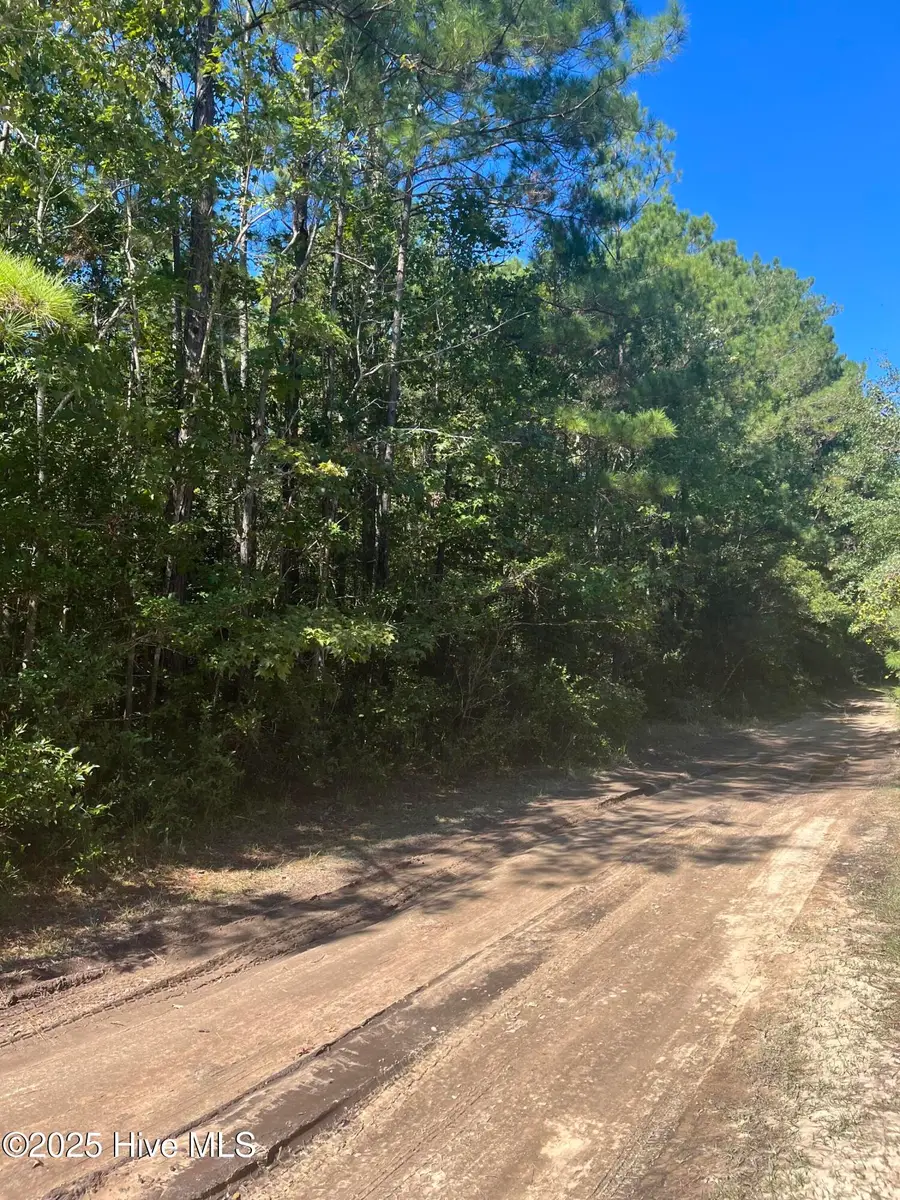 1350 Egret Drive Sw, Supply, NC 28462 - Image #2