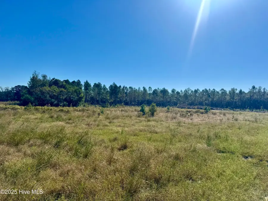 0 Old Fayetteville Road, Garland, NC 28441 - Image #2