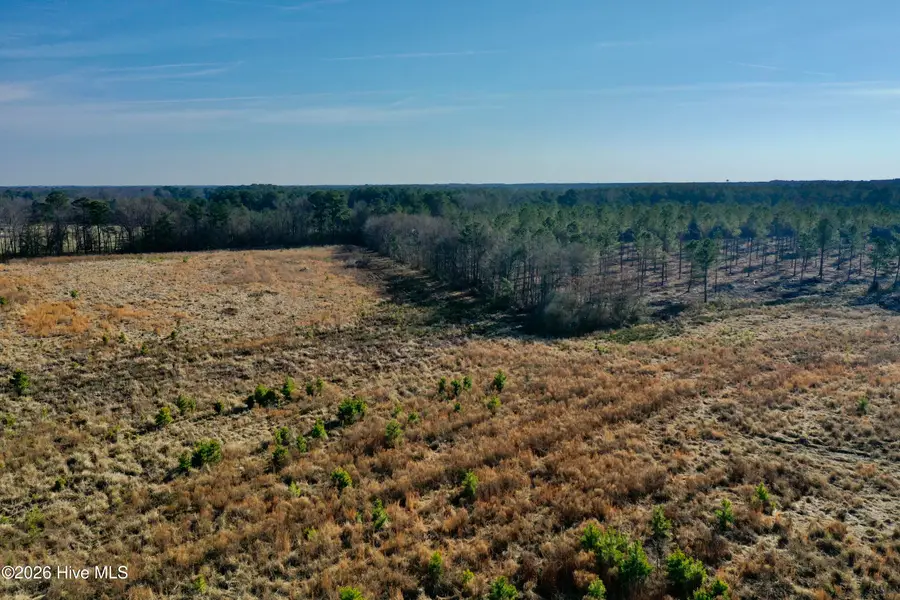 0 Old Fayetteville Road, Garland, NC 28441 - Image #3