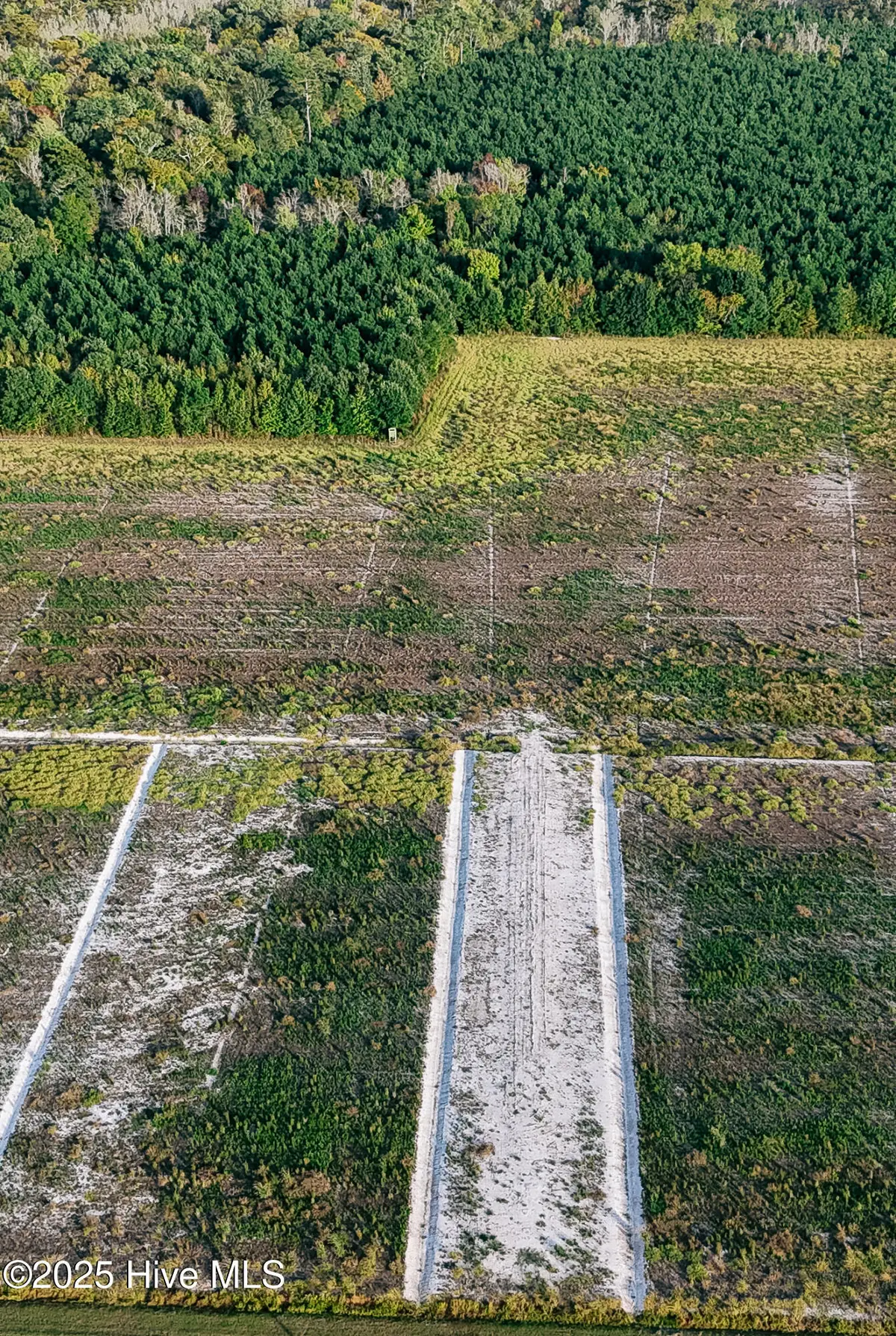 Tbd Boat Ramp Road, Hertford, NC 27944 - #1