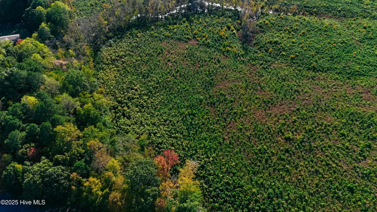 Tbd Cove Road, Hertford, NC 27944 - Image #1