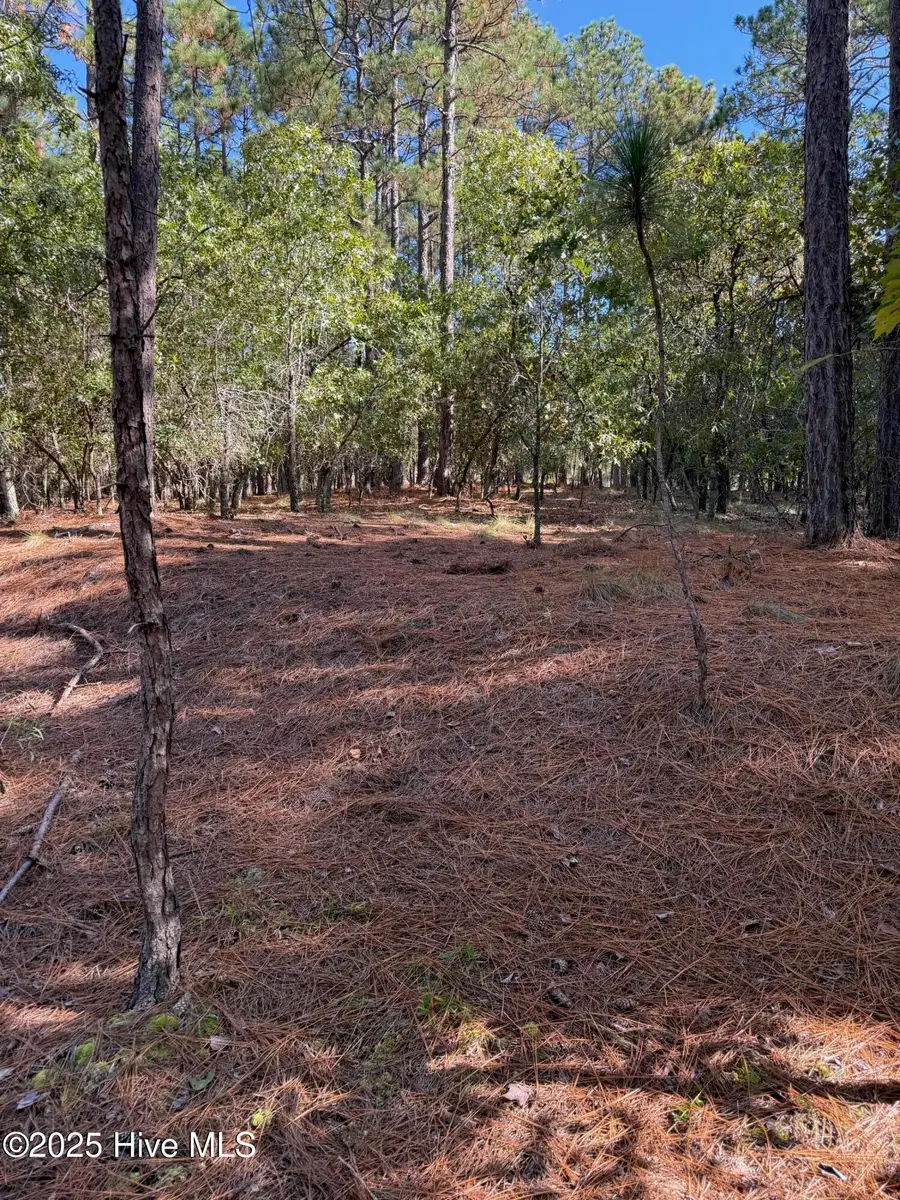 108 Carrington Square, West End, NC 27376 - Image #3