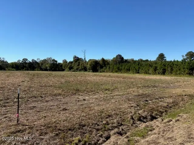 Vidalia 3 County Home Road, Ayden, NC 28513 - Image #2