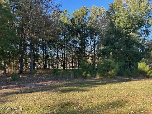 Lot 14 N Cape Fear Drive, Hertford, NC 27944 - Image #2