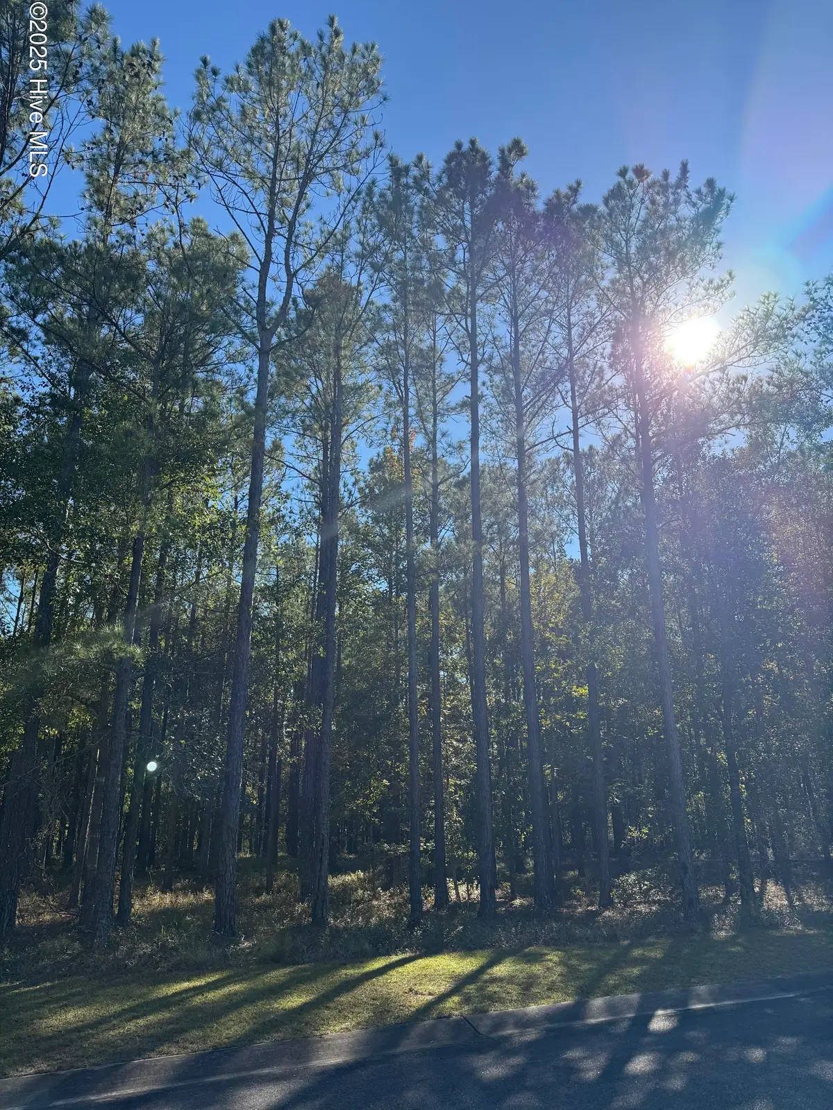 606 Bendigo Passage Se, Bolivia, NC 28422 - Image #1