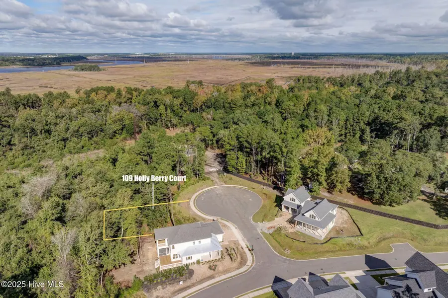 109 Holly Berry Court, Wilmington, NC 28401 - Image #2