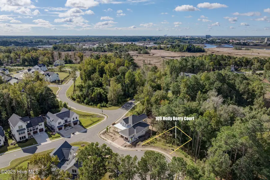 109 Holly Berry Court, Wilmington, NC 28401 - Image #3