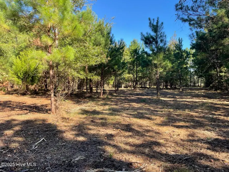 327 Garbacon Drive, Beaufort, NC 28516 - Image #2