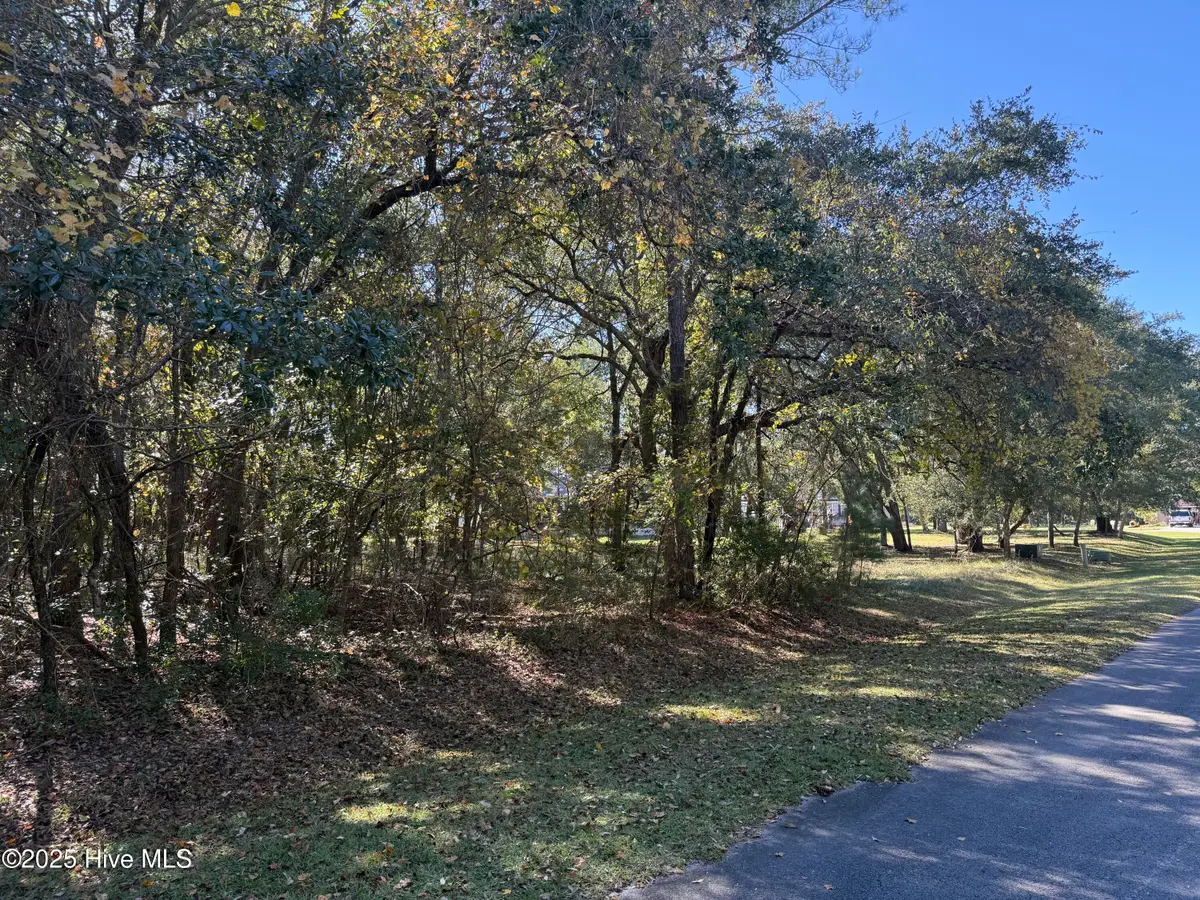 902 Firefly Court, New Bern, NC 28560 - Image #1