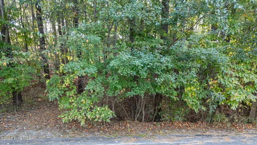 129, 131 Hastings Road, West End, NC 27376 - Image #2