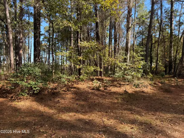 254 Falling Creek Lane, Goldsboro, NC 27530