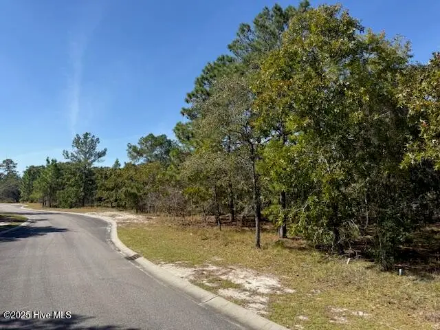 435 Istria Way Se, Bolivia, NC 28422 - Image #1