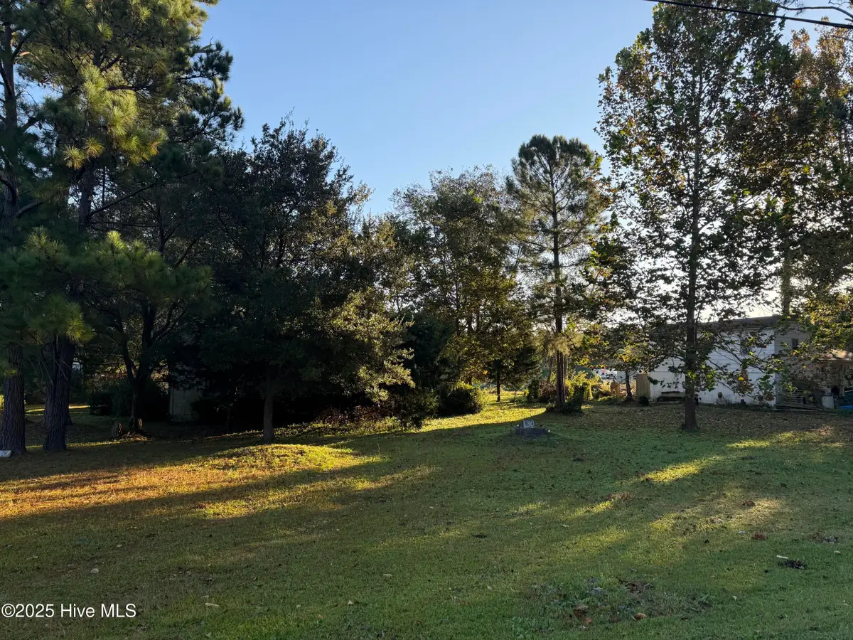 430 John Everett Road, Sneads Ferry, NC 28460 - #1