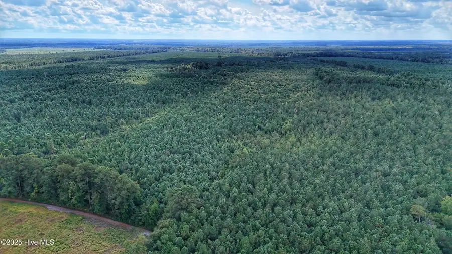 949 E Pleasant Hill Road, Pink Hill, NC 28572 - Image #3