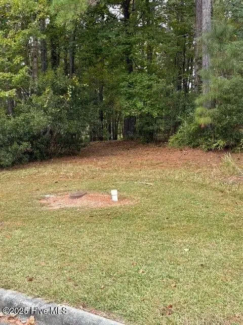 3808 Lichen Lane, New Bern, NC 28562 - Image #2