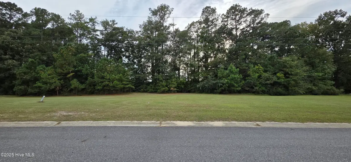 710 Birch Road, Grifton, NC 28530 - Image #1