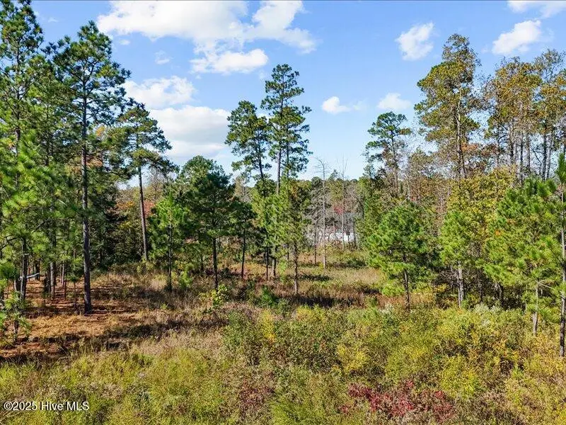 7018 Harrison Lane, West End, NC 27376 - Image #3