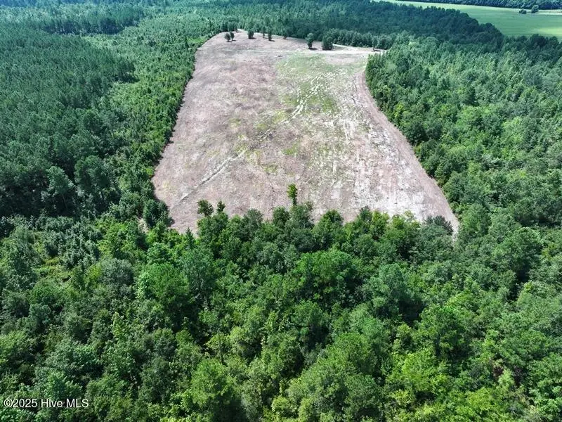 Tbd Alamac Road, Lumberton, NC 28358 - Image #3