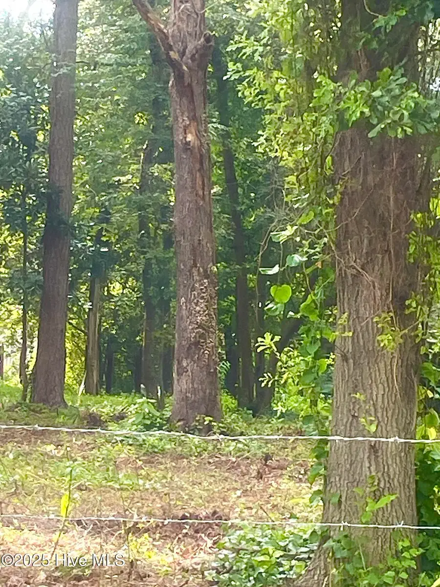 205 Nancy Drive, Dudley, NC 28333 - Image #2