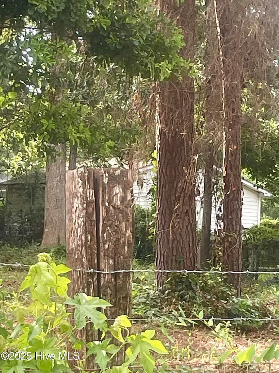 205 Nancy Drive, Dudley, NC 28333 - Image #3