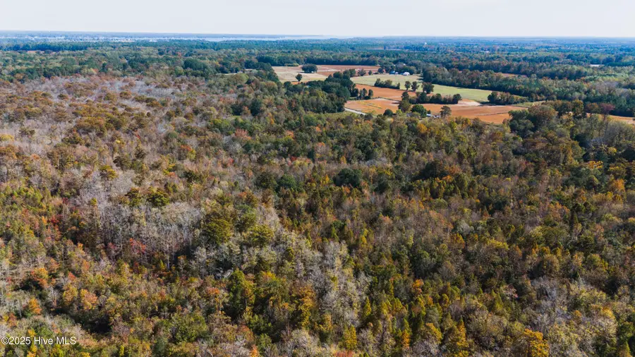 0 Gray Road, Chocowinity, NC 27817 - Image #2