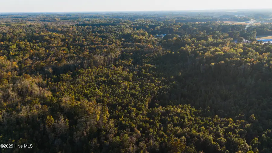 0 Gray Road, Chocowinity, NC 27817 - Image #3