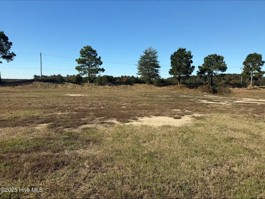 136 Pinewood Cove, Snow Hill, NC 28580 - Image #3