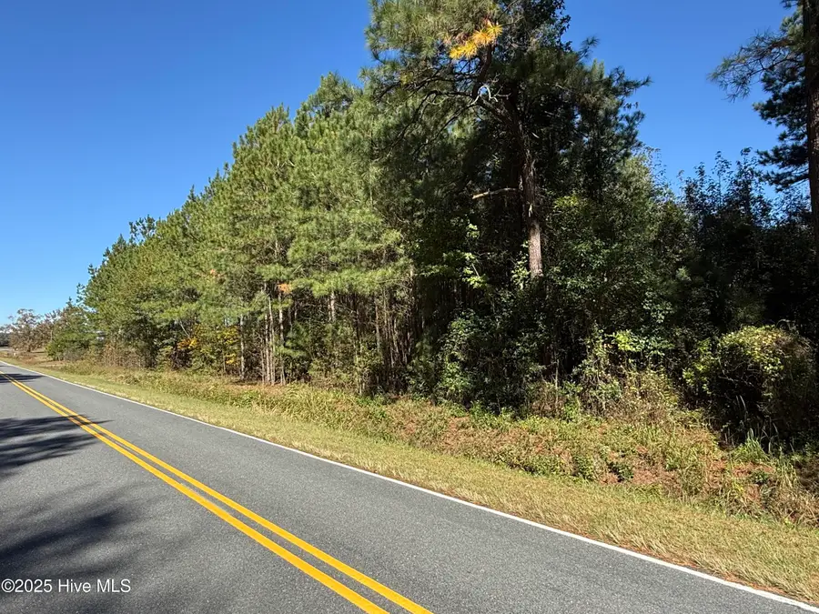 1.78 Acres Harrelson Road, Clarkton, NC 28433 - Image #2