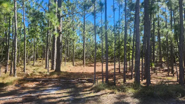 Lot 303 Mission Road, Southport, NC 28461