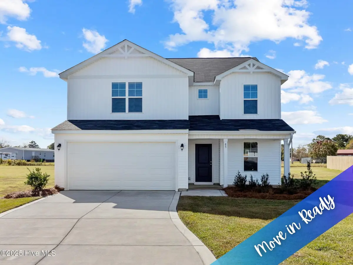 85 Buggy Top Lane, Autryville, NC 28318 - #1