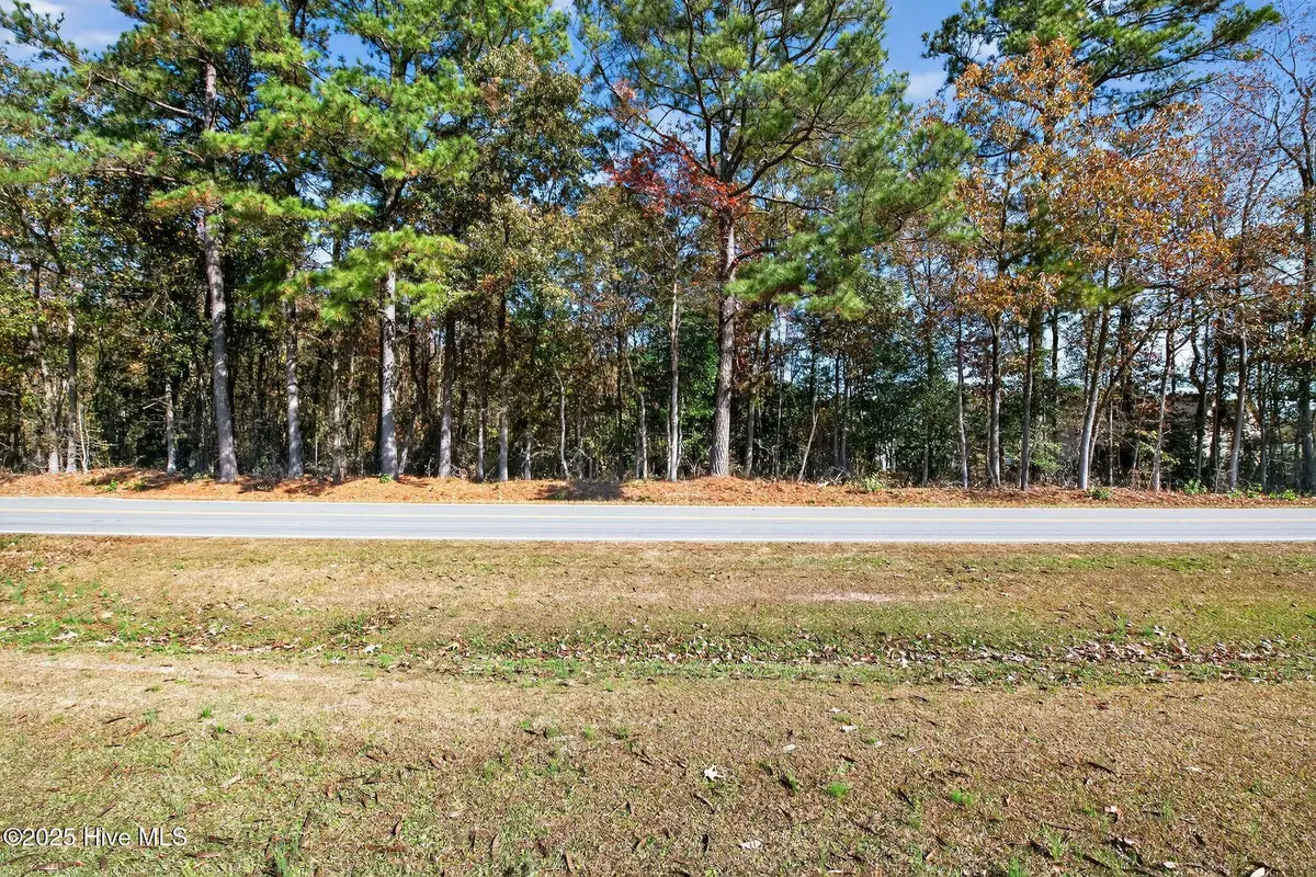 0 Strickland Road, Bailey, NC 27807 - Image #1