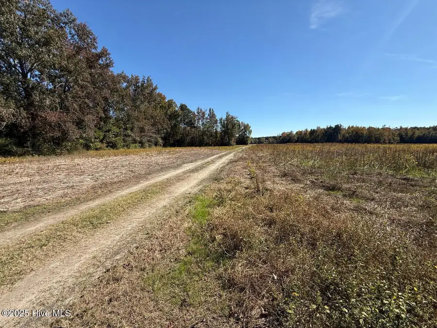 Tbd Martin Luther King Jr Dr, Lumberton, NC 28358 - Image #3