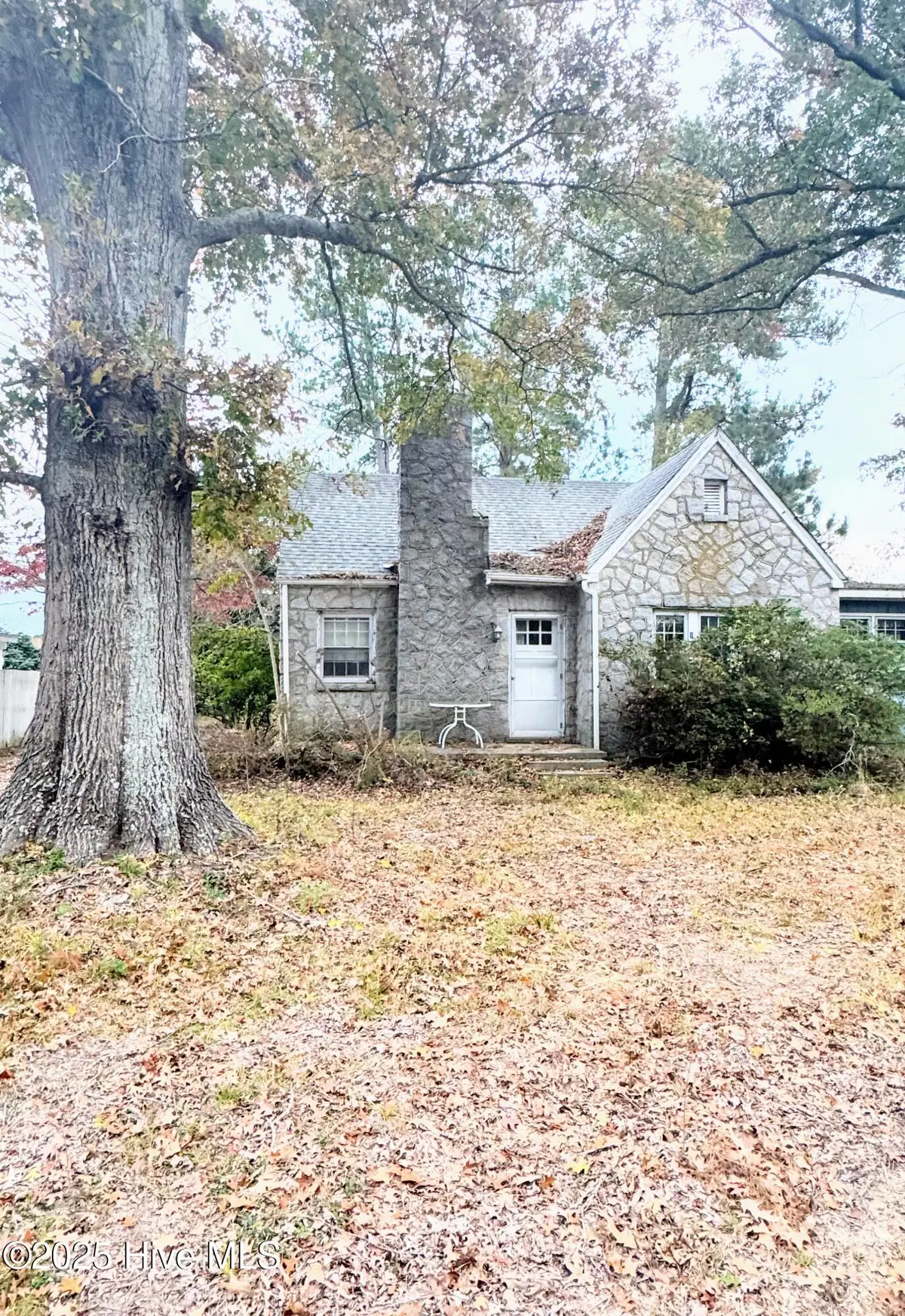 145 Nc Highway 42, Ahoskie, NC 27910 - #1