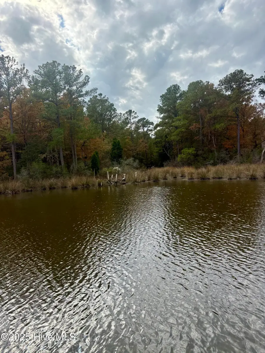 408 Tarpon Pointe Road, Bath, NC 27808 - Image #2