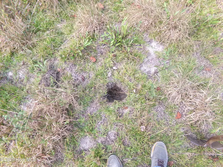 Lot  44964 Big Island Road, White Oak, NC 28399 - Image #2