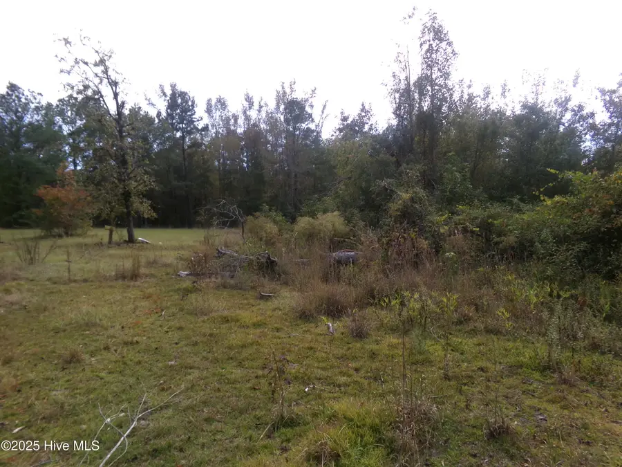 Lot  44964 Big Island Road, White Oak, NC 28399 - Image #3