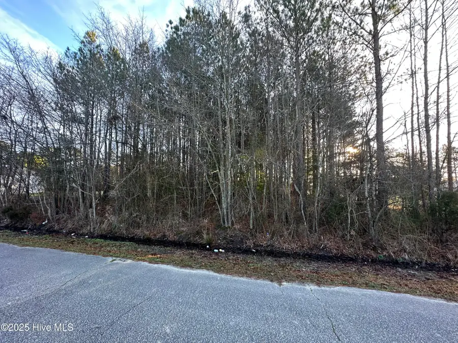 Tbd Pine Street, Conway, NC 27820 - Image #3