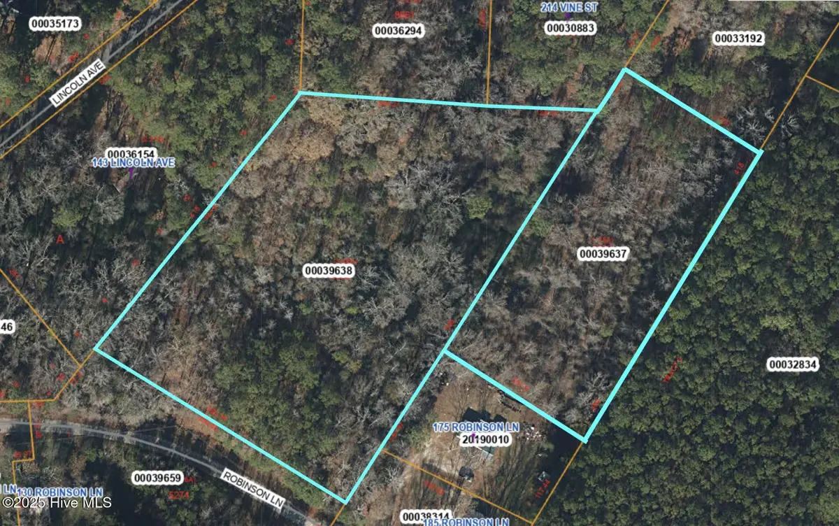 Tbd Robinson Lane, Vass, NC 28394 - Image #1