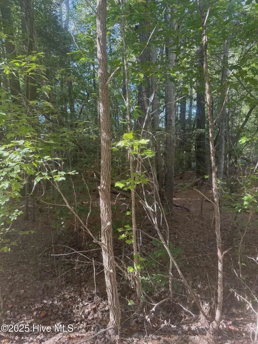 Lot 51 A Palomino Road, Carthage, NC 28327 - Image #2
